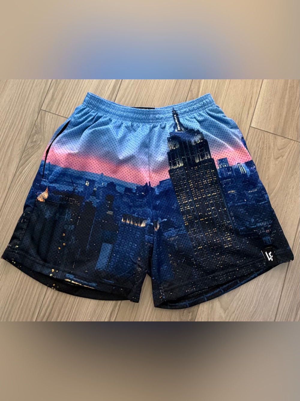 Lost Files LF Men’s Blue Cityscape NYC Graphic Lined Mesh Athletic Shorts Sz M
